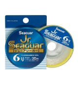 Fluorocarbon Delphin Seaguar (45-50m)