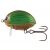 Wobler SALMO Lil´Bug 3cm/4.3g