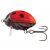 Wobler SALMO Lil´Bug 3cm/4.3g