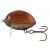 Wobler SALMO Lil´Bug 3cm/4.3g