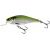 Wobler SALMO EXECUTOR SR  5cm/5g/0.6-1.2m